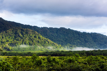 Fototapeta na wymiar Mountains in tropical rainforest Thailand