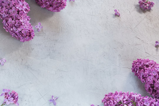 Lilacs on the cement background with normal light and free space for copy paste in the middle