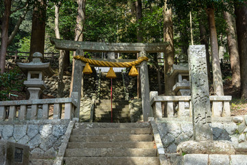 Fototapeta na wymiar 修善寺城山神社の鳥居