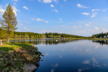 See im Frühling Fichtelsee im Wald