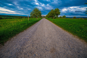 A street in the fields in summer with some clouds and trees