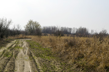 Fototapeta premium Wiosenny krajobraz