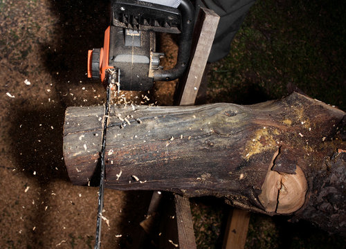 Photo of worker cutting wood log upper view.