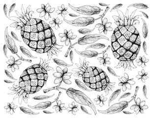 Hand Drawn Background of Pineapple and Aglaonema Simplex Fruits