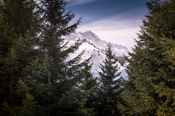 Curnera-Stausee über den Baumwipfeln in Sedrun