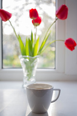 a cup of coffee on the windowsill and a vase with tulips.