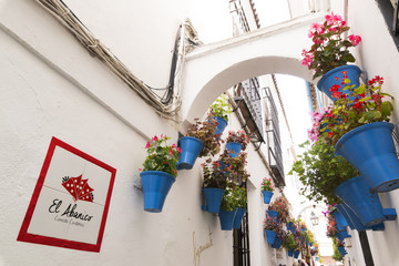 Fototapeta na wymiar Cordoba street , Andalusia , Spain