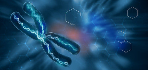 X chromosomes, 3d illustration