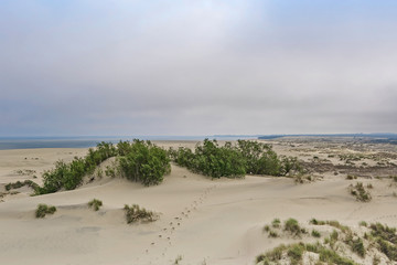 Baltic Dunes from Epha height on the curonian spit. Curonian Lagoon. Windy.  Unesco heritage.