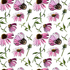 Floral seamless pattern  with hand drawn graphic and   colored sketch with echinacea flowers  on white background. - obrazy, fototapety, plakaty