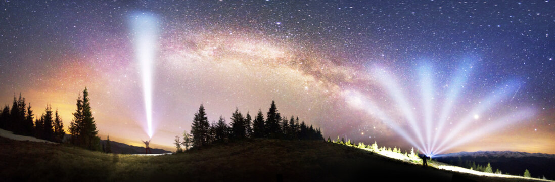 Milky Way over the Fir-trees
