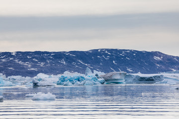 Die Wildnis von Grönland - Arktis