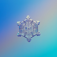 Snowflake glittering on smooth gradient background. Macro photo of real snow crystal: sectored...