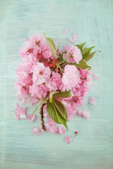 beautiful cherry blossom flowers branch decorated on a white wooden table, can be used as background