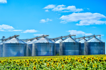 Obraz premium Sunflower oil production plant and sunflower field
