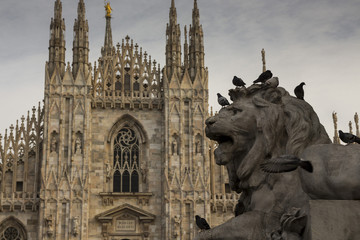 Włochy, Mediolan, Katedra Duomo di Milano
