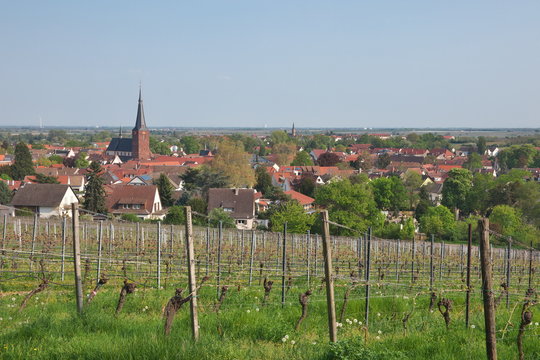 Deidesheim in der Pfalz