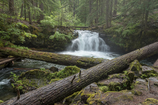 Waterfall in the woods