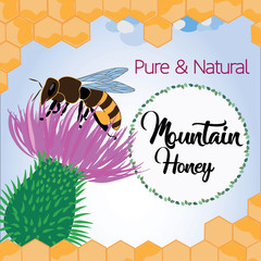 Colorful concept design of bee harvesting flowers in nature. Vector illustration.