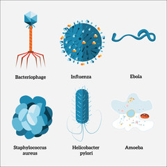 Various types of microorganisms. Viruses and bacteria. Vector illustration.