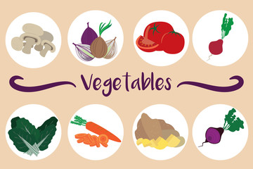Colorful set of eight vegetable icons. Vector illustration.