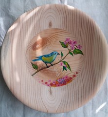  Hand painted painted plate