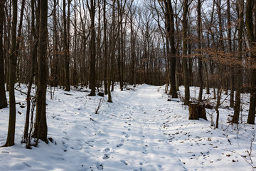 Beautiful panorama landscape of frozen slovak country in hidden in snow