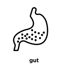 gut icon isolated on white background