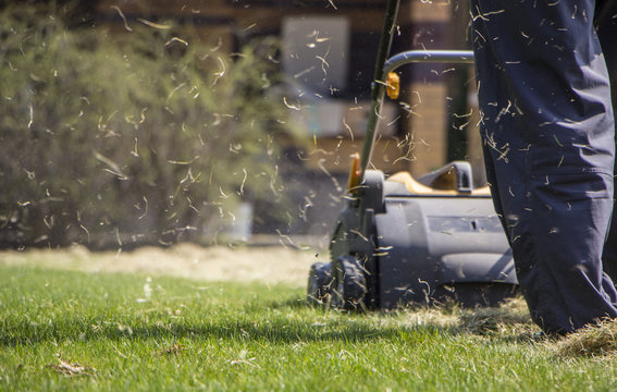 Gardener Operating Soil Aeration Machine on Grass Lawn