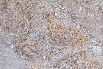 Beige brown marble texture pattern background	