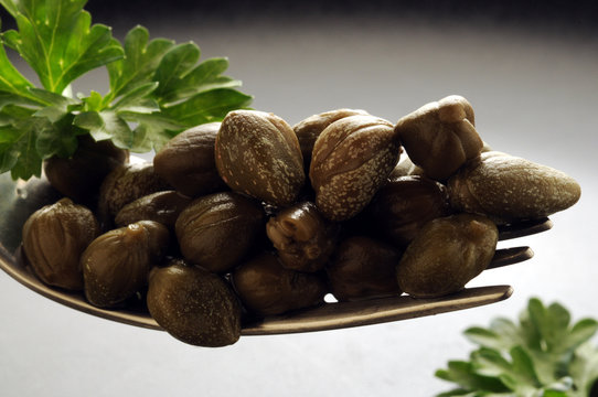 Capparis spinosa Capperi Kapary cierniste Capers Echter Kapernstrauch Cappero Kapernfr&uuml;chte قبار 