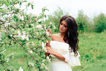 beautiful young girl in white dress in spring blossoming apple orchards