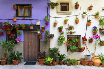 Fototapeta na wymiar flower pots with flowers on white and purple village wall