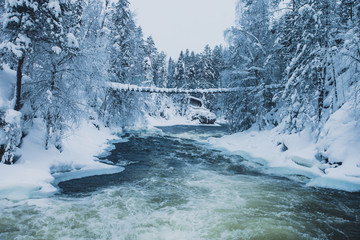 Winter snowy view of Oulanka National Park landscape, a finnish national park in the Northern...