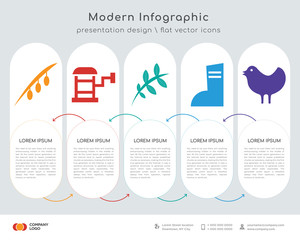 olive infographics design