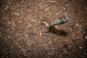 Trowel in the Dirt