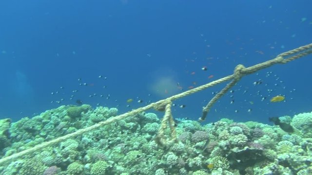 ropes on reef 02 dahab
