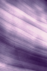 an abstract lines background photo