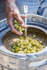 Man adding hops to brew batch