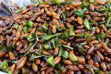 Fried Insect at street food
