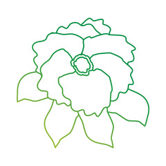 beautiful flower garden icon vector illustration design