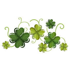 saint patrick clovers decorative vector illustration design