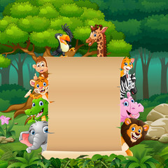 Animals with blank sign in the jungle