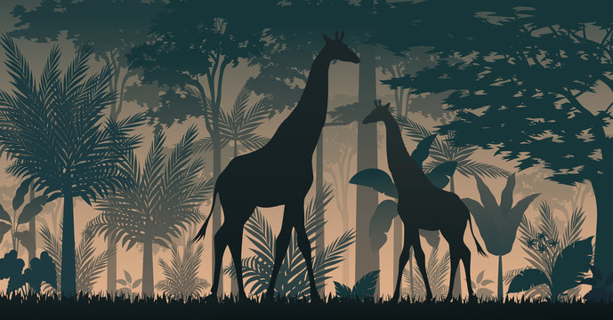 Animals silhouette in forest 