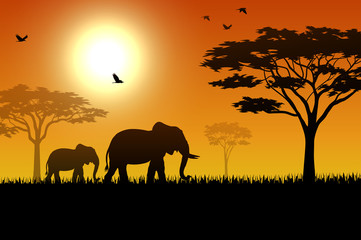 Fototapeta na wymiar Silhouette of elephant in the savanna