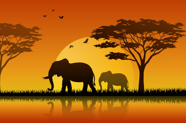 Obraz premium Silhouette elephant at lake of savanah 