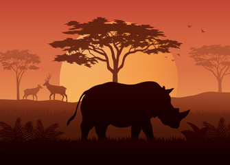 Fototapeta na wymiar Silhouette of rhino at savanah 