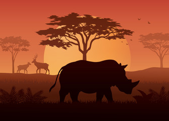 Obraz premium Silhouette of rhino at savanah 