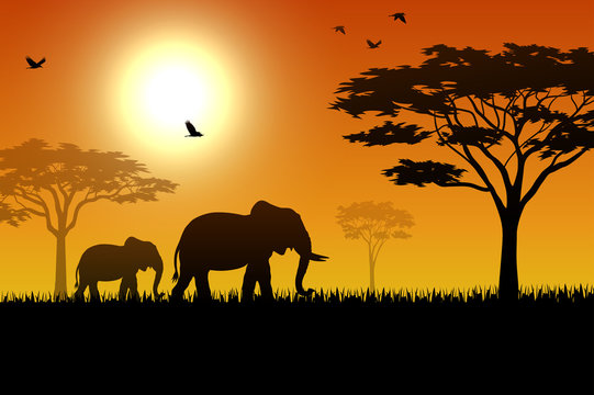 Silhouette of elephant in the savanna