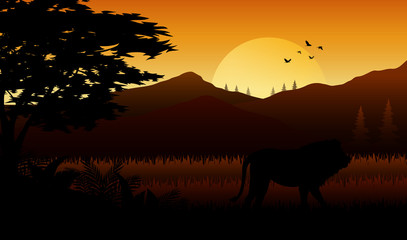 Silhouette  of lion at savanah 